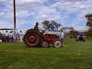 ag17_041.jpg
